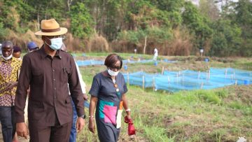 274081844_246939230961069_8883271252060225982_n