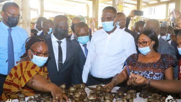 274449527_493038868854912_3908682808614289058_n