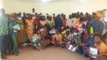 Filière mangue conteneurs