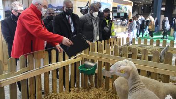sidi touré en france