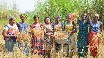 270444647_1921843377995054_154556314244033243_n