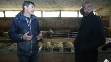 274863897_497321745093291_9068262552619685070_n