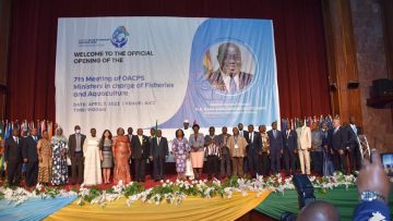 278043919_279318487723143_6436082107807601313_n