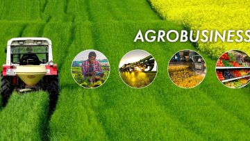 agrobusiness-1-1