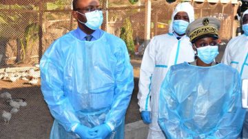 1629381822PHOTO-JOUR-19-08-2021-SANTE-ANIMALE