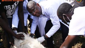 281544102_308057791515879_3795214760057354203_n