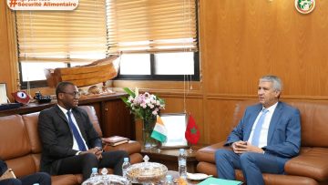 295448213_593363822155749_7206154374319575344_n