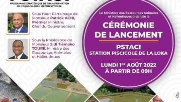 FB_IMG_1659220045614