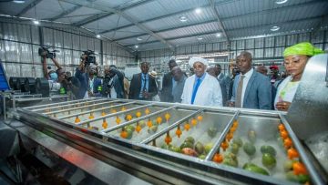 FB_IMG_1660234090322