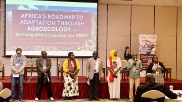 poster_article1663845359