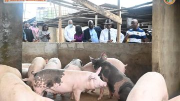 FB_IMG_1665828993618