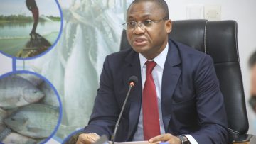 ci-ue-sidi-toure-a-preside-la-3e-reunion-de-la-commission-mixte-de-laccord-_e22ybdajhir