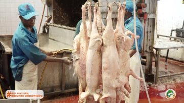 320443057_1145495556329836_8240015372850504894_n