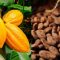 Cacao