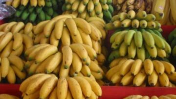 BANANE