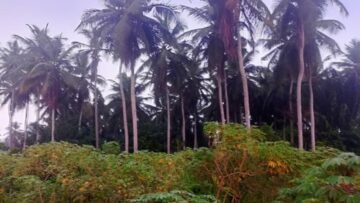 IMG-20240325-WA0038(1)