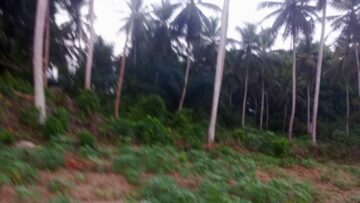 IMG-20240325-WA0042