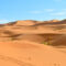 IMG-20240404-WA0121