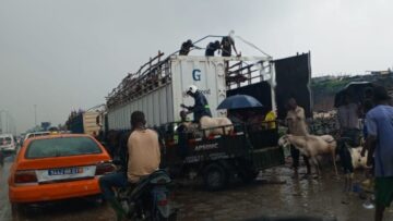 Screenshot_20240614-201127