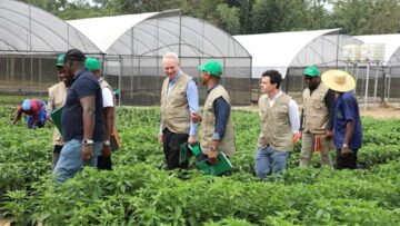 FB_IMG_1738569808845