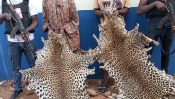 IMG-20250321-WA0127(1)