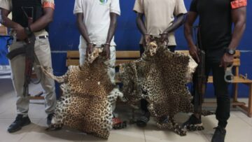 IMG-20250430-WA0065(1)