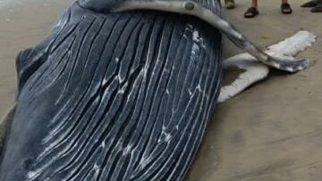 FB_IMG_1758147512872