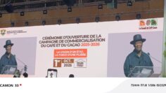 IMG-20251001-WA0163(1)