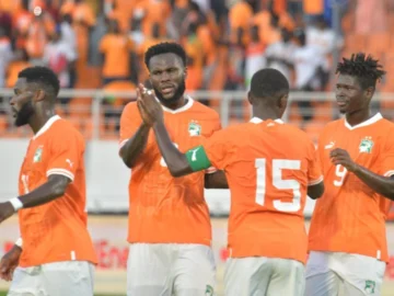 92217-elephants-de-cote-d-ivoire