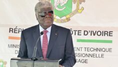 FB_IMG_1764966250094