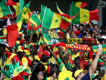 SUPPORTS-LIONS-1