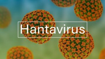visuel-page-emergence-hantavirus-620×425