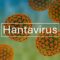 visuel-page-emergence-hantavirus-620×425