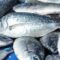 IMG-20260605-WA0021