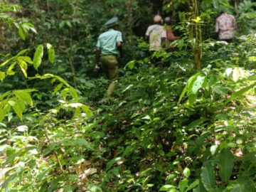 whatsapp_image_2026-06-16_at_12.45.49