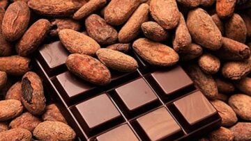 cacao-chocolat