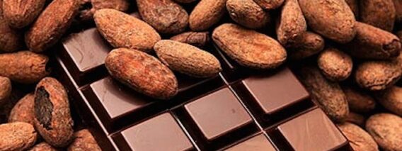 cacao-chocolat