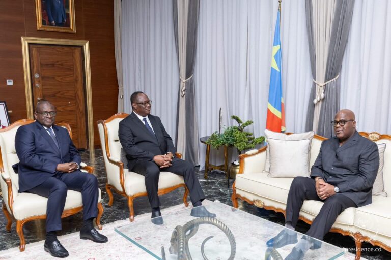 Diplomatie : Le Vice-Premier ministre Téné Birahima Ouattara porteur d’un message spécial d’Alassane Ouattara à Félix Tshisekedi